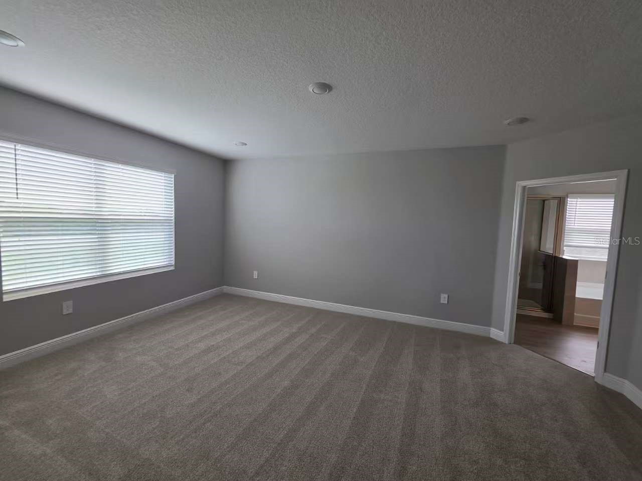 2212 Sienna Spruce Street Wesley Chapel FL 33543 TB8493411 image12