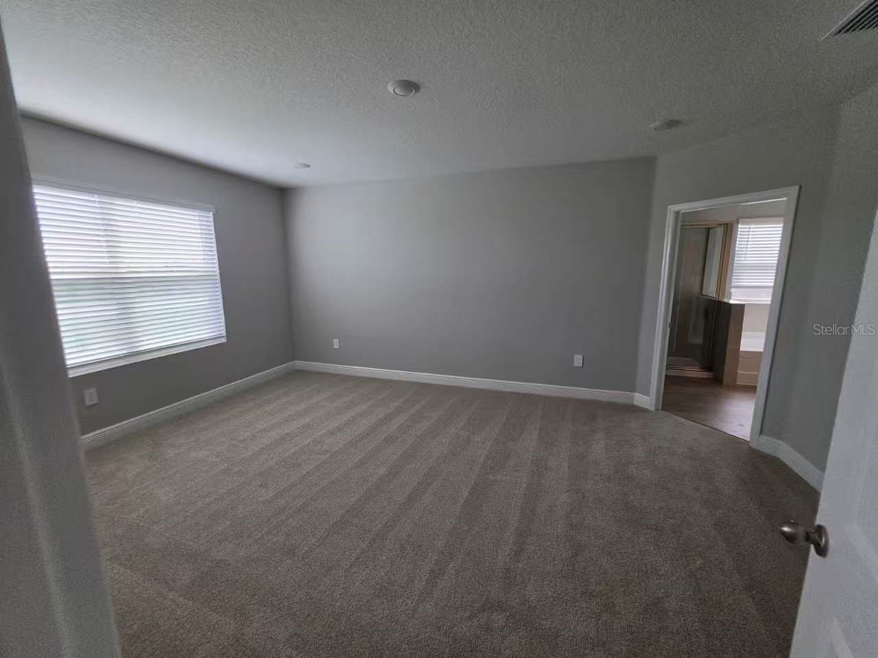 2212 Sienna Spruce Street Wesley Chapel FL 33543 TB8493411 image13