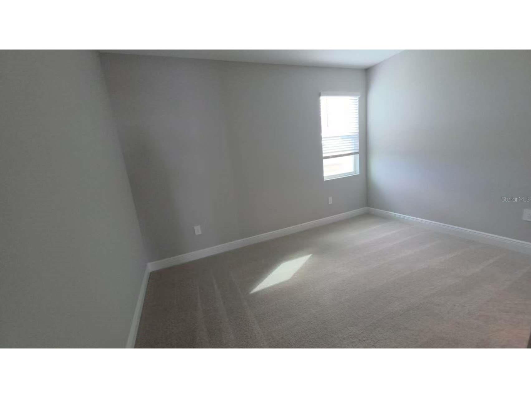 2212 Sienna Spruce Street Wesley Chapel FL 33543 TB8493411 image21