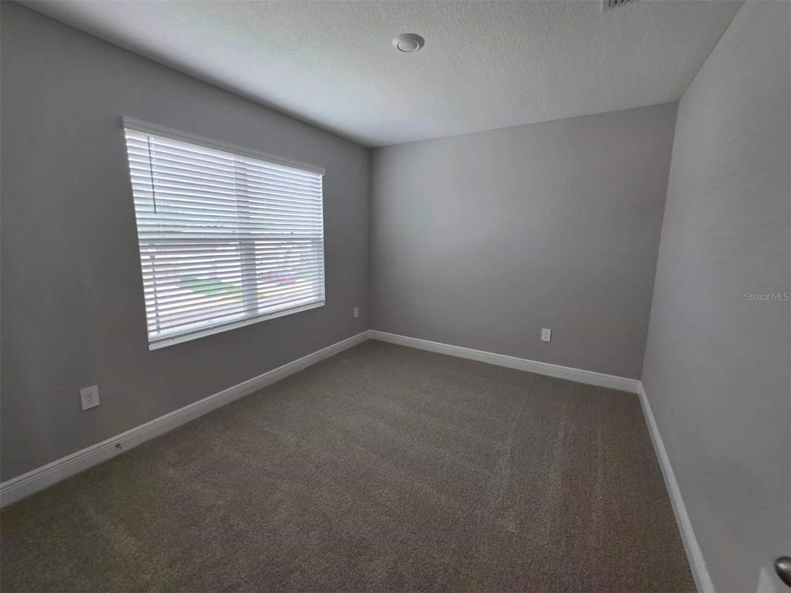 2212 Sienna Spruce Street Wesley Chapel FL 33543 TB8493411 image23