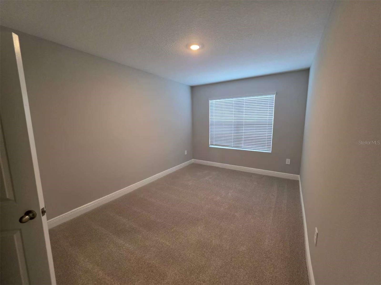2212 Sienna Spruce Street Wesley Chapel FL 33543 TB8493411 image24