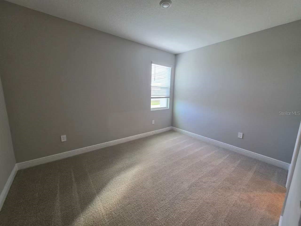 2212 Sienna Spruce Street Wesley Chapel FL 33543 TB8493411 image27