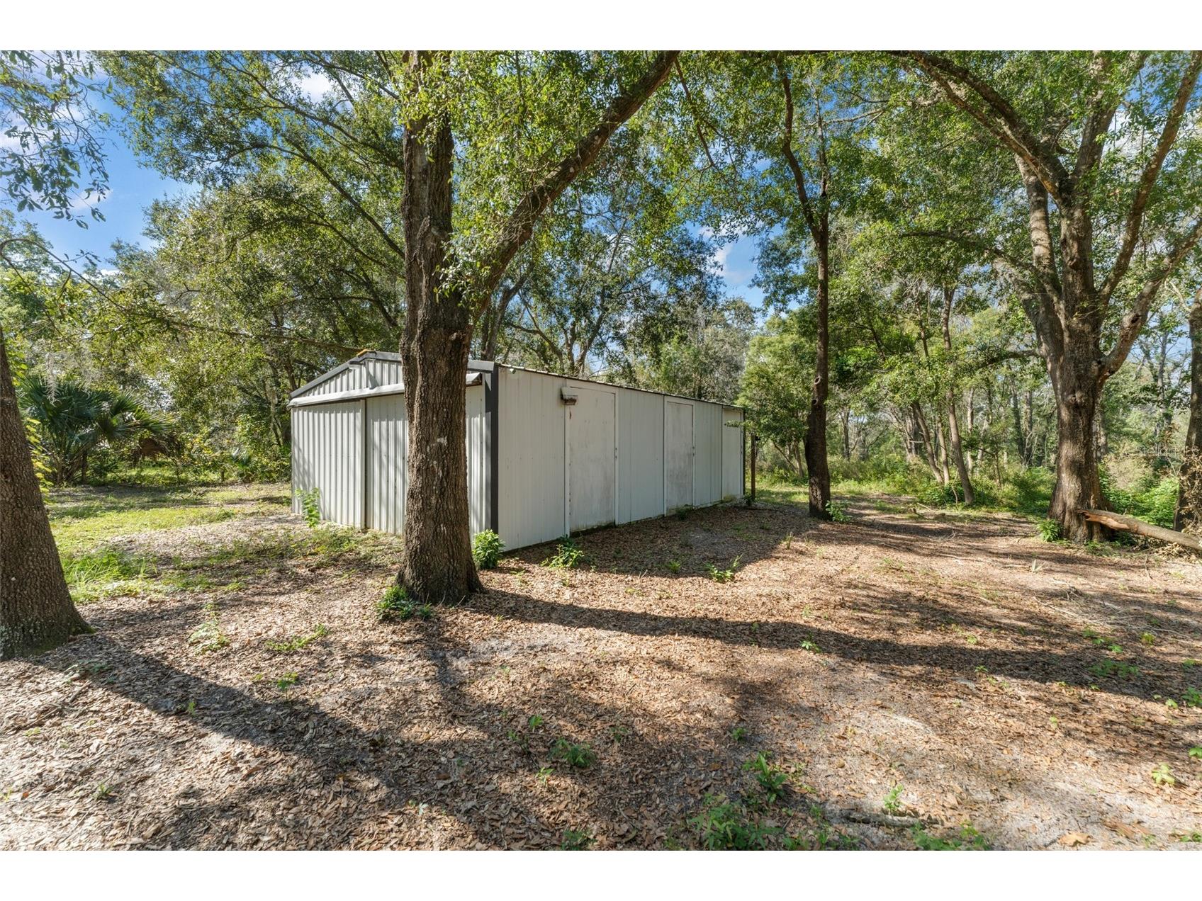22126 Quale Grove Road Eustis FL 32736 O6358896 image5