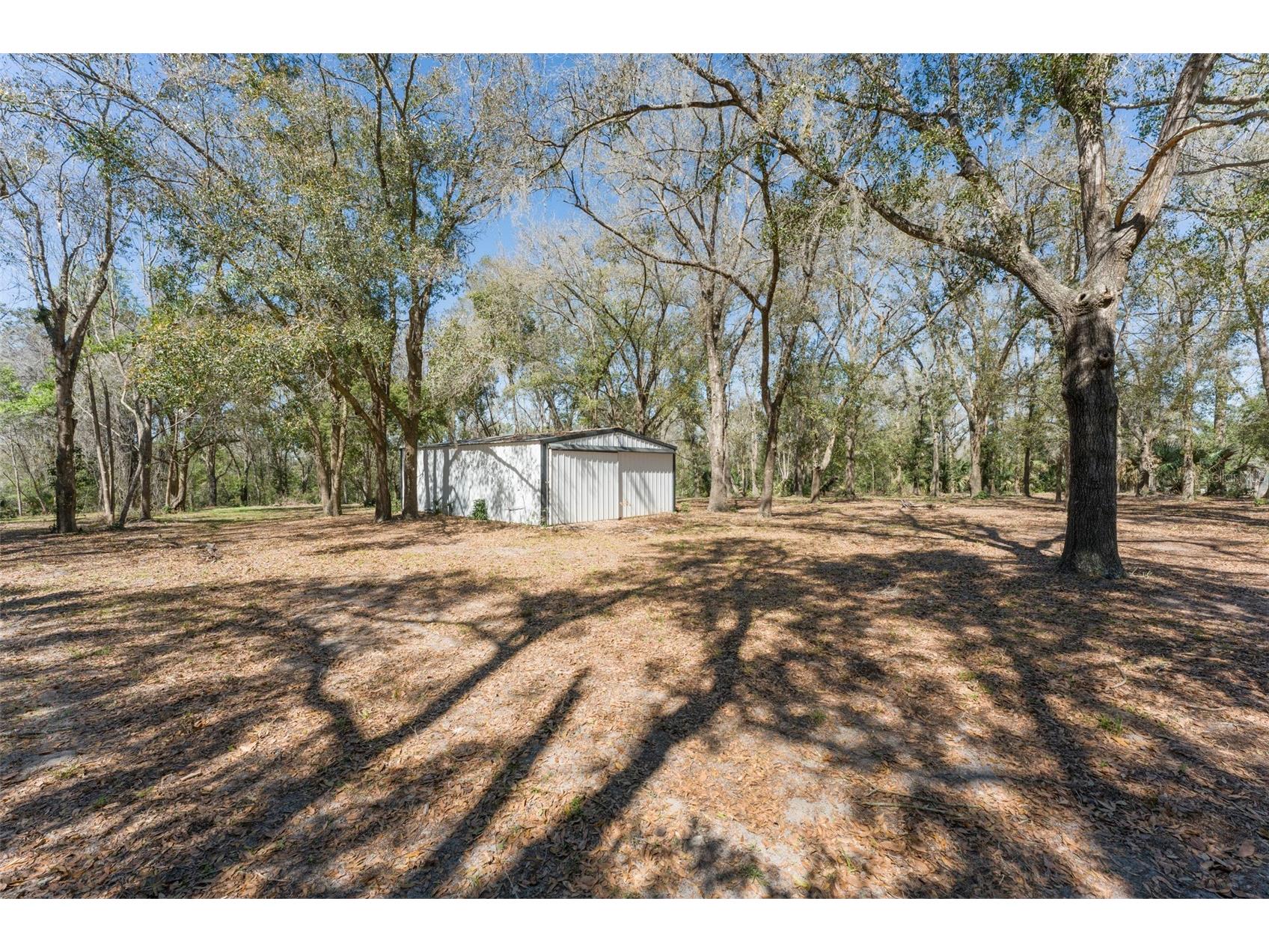 22126 Quale Grove Road Eustis FL 32736 O6358896 image62