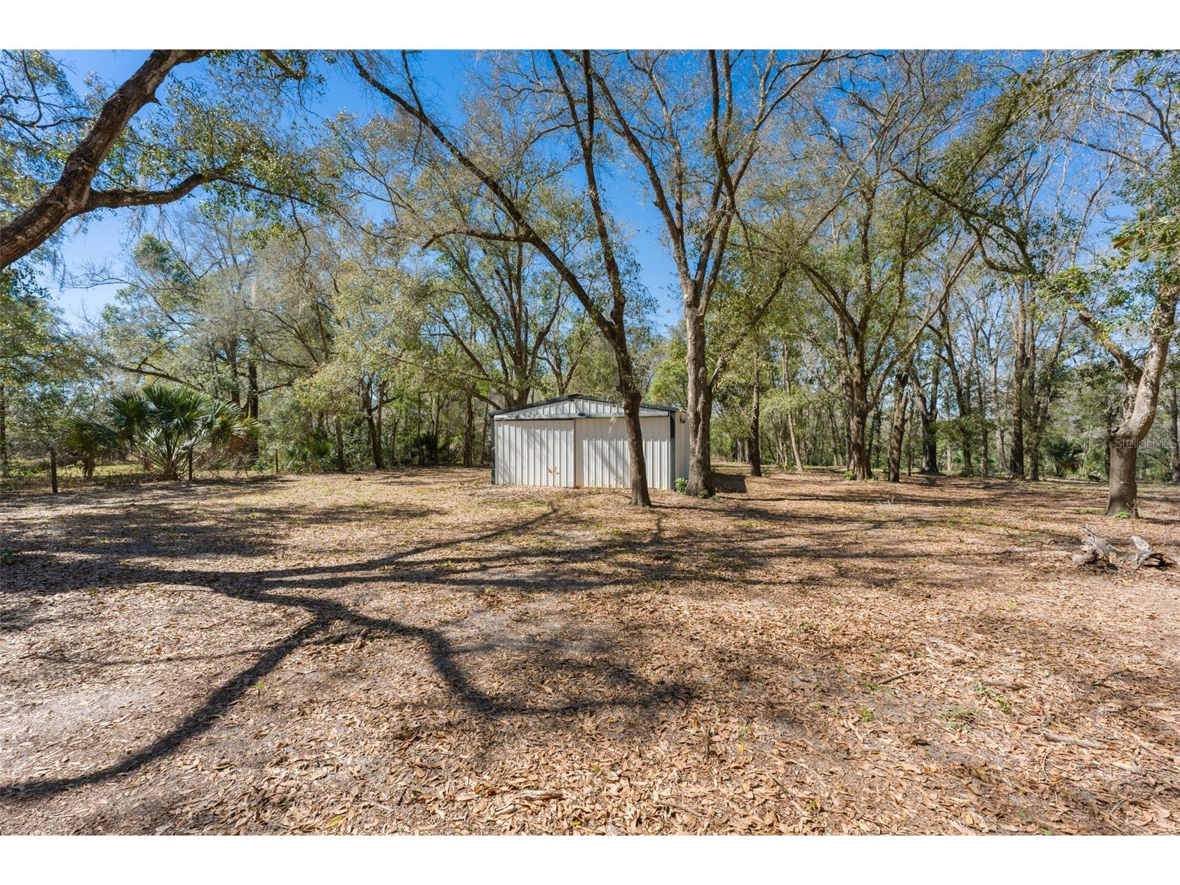 22126 Quale Grove Road Eustis FL 32736 O6358896 image63