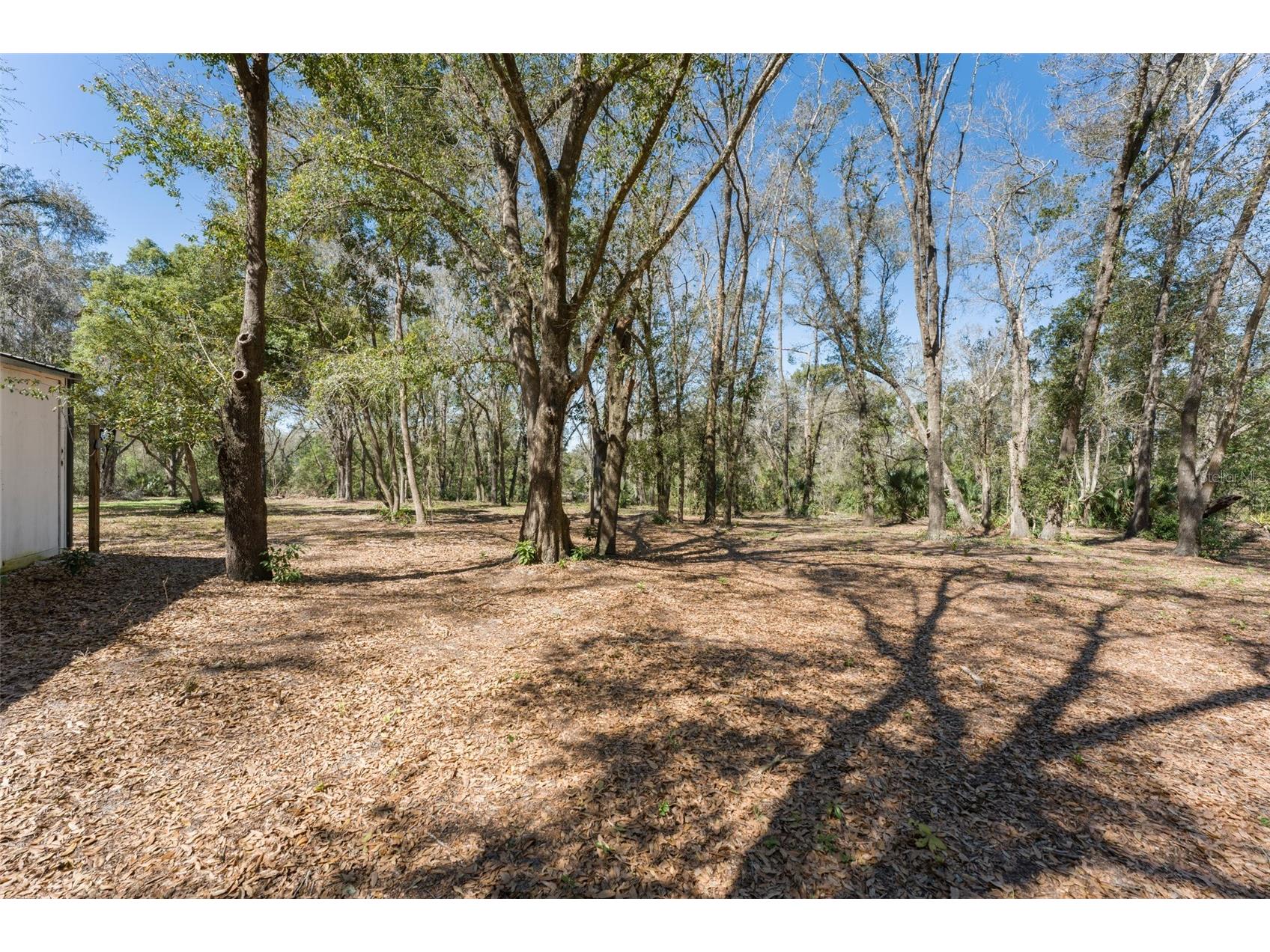 22126 Quale Grove Road Eustis FL 32736 O6358896 image64