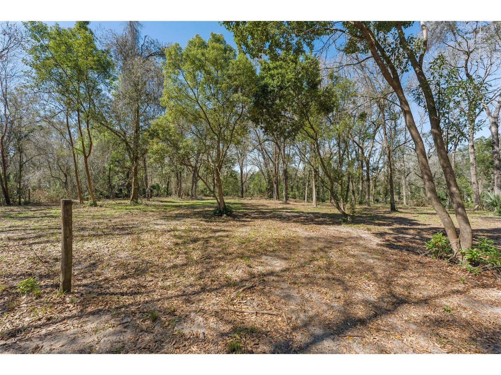 22126 Quale Grove Road Eustis FL 32736 O6358896 image65