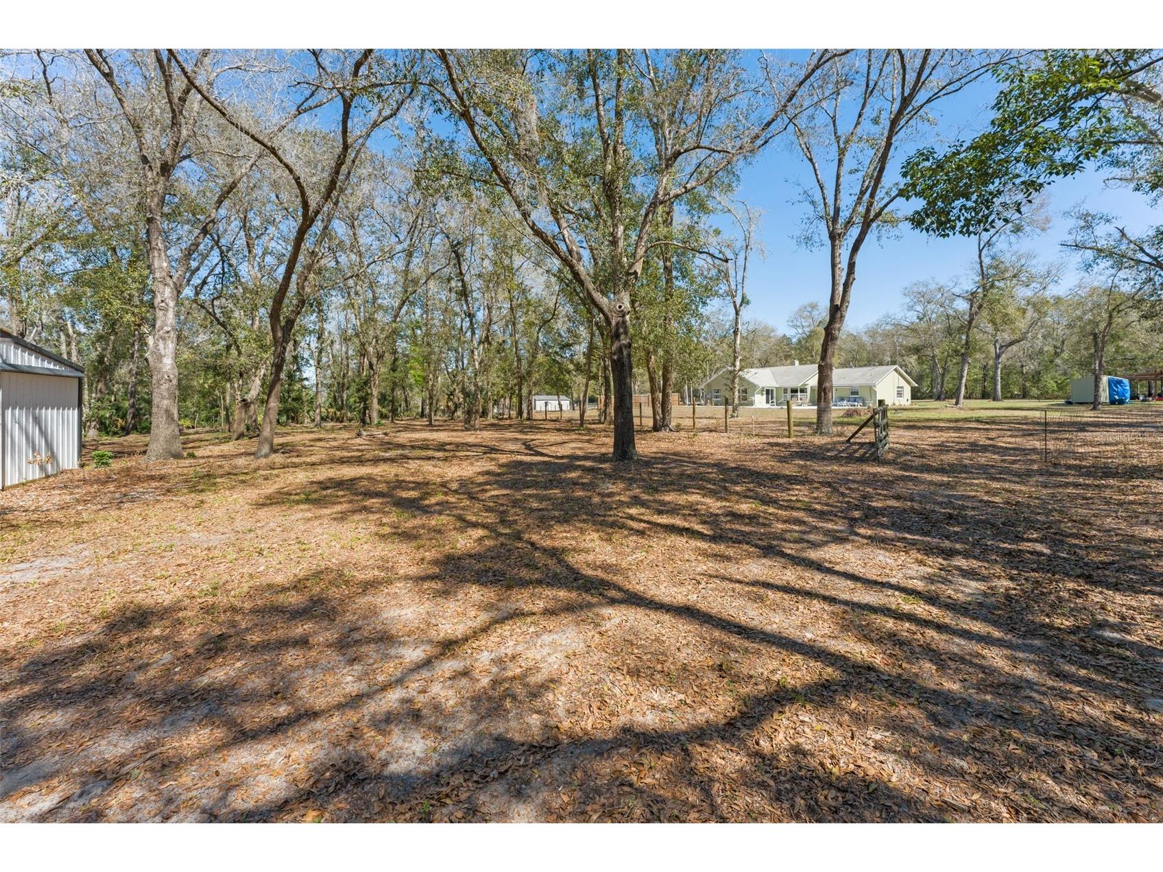 22126 Quale Grove Road Eustis FL 32736 O6358896 image66