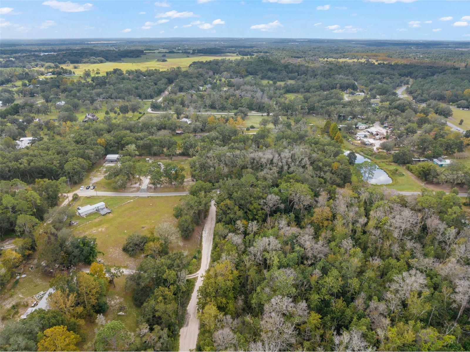 22126 Quale Grove Road Eustis FL 32736 O6358896 image69