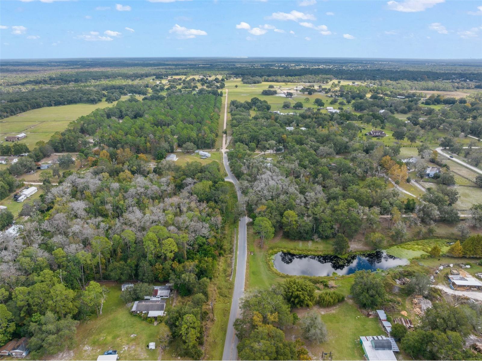 22126 Quale Grove Road Eustis FL 32736 O6358896 image71