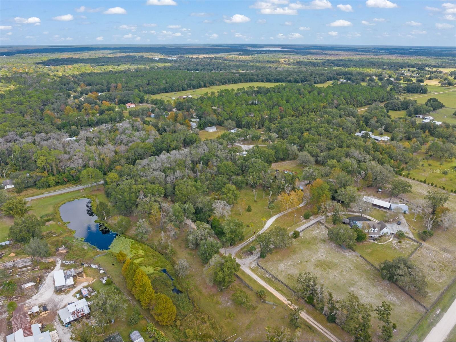 22126 Quale Grove Road Eustis FL 32736 O6358896 image73