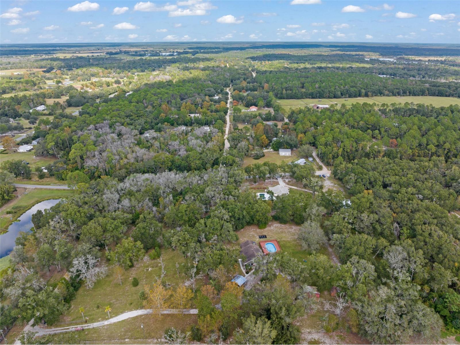 22126 Quale Grove Road Eustis FL 32736 O6358896 image74