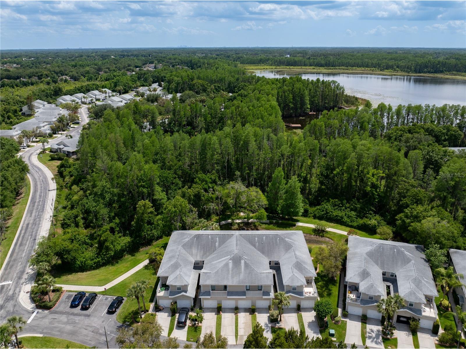 22128 Little Lagoon Court Lutz FL 33549 TB8505944 image36