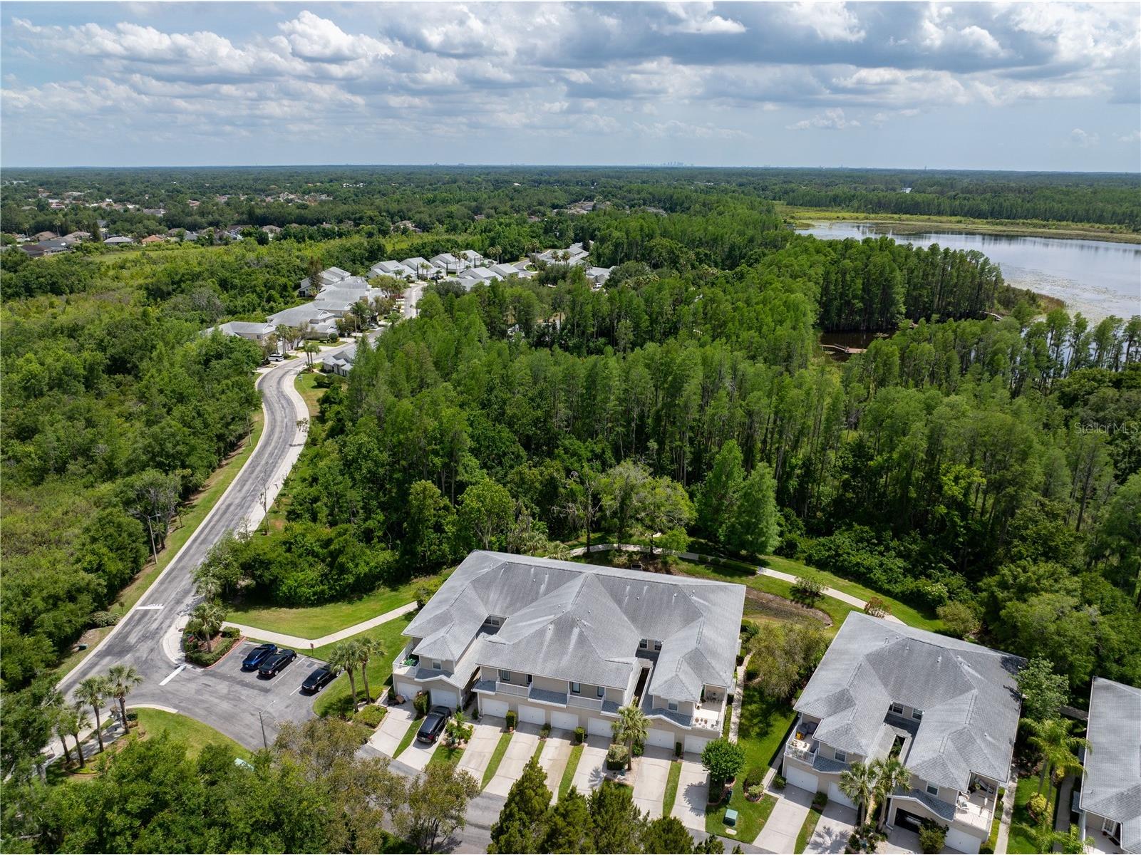 22128 Little Lagoon Court Lutz FL 33549 TB8505944 image37