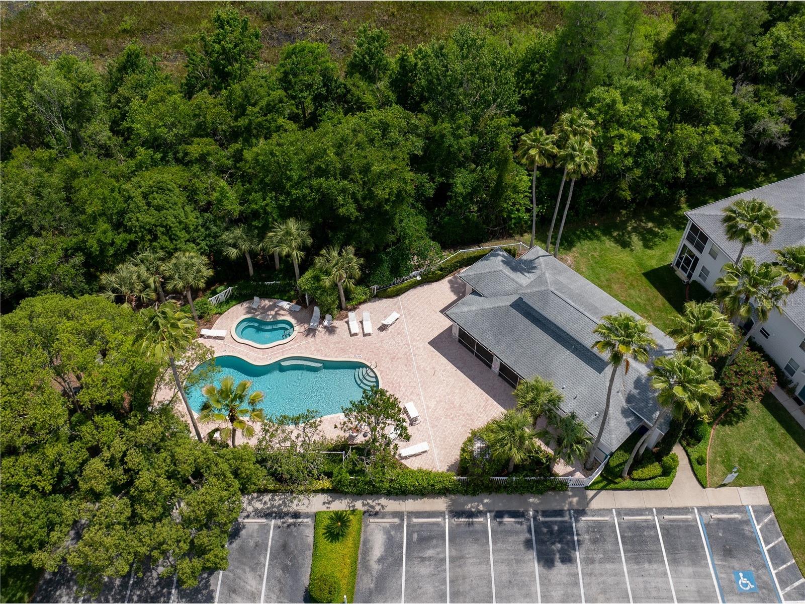 22128 Little Lagoon Court Lutz FL 33549 TB8505944 image39
