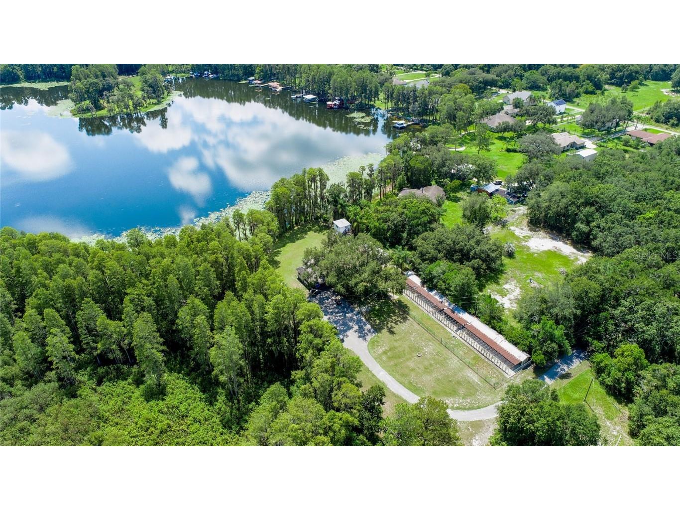 22129 Carson Drive Land O Lakes FL 34639 - LAKE SAXON TB8374318 image11