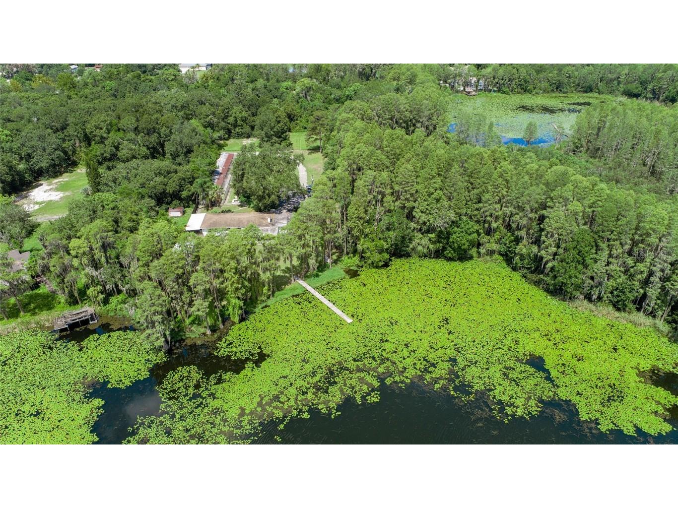 22129 Carson Drive Land O Lakes FL 34639 - LAKE SAXON TB8374318 image17