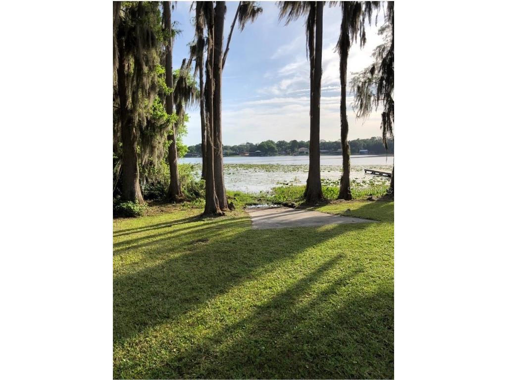 22129 Carson Drive Land O Lakes FL 34639 - LAKE SAXON TB8374318 image3