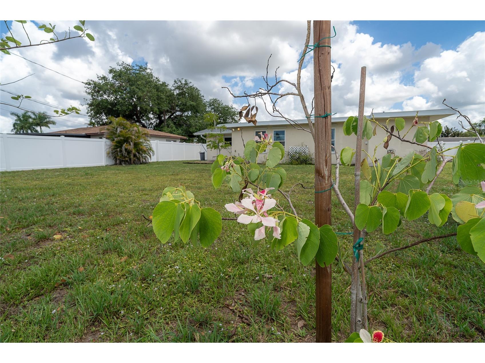22129 Rochester Avenue Port Charlotte FL 33952 D6147584 image35