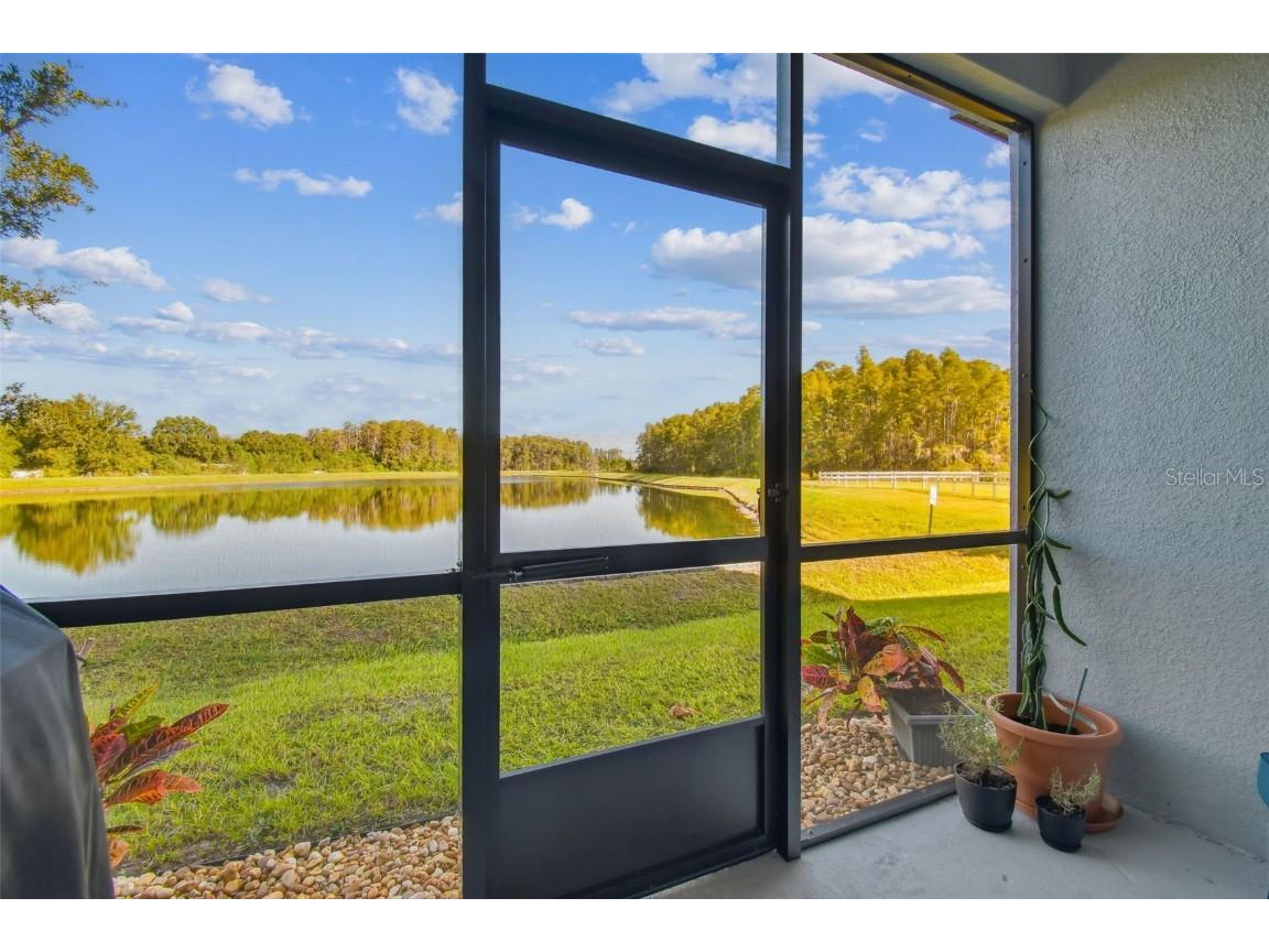 2213 Cerulean Sky Drive Lutz FL 33558 TB8440576 image1