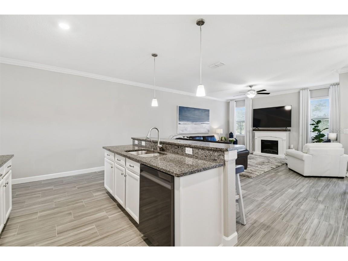 2213 Cerulean Sky Drive Lutz FL 33558 TB8440576 image17