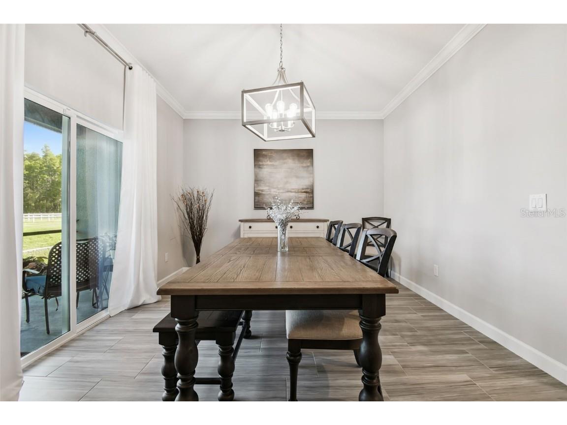 2213 Cerulean Sky Drive Lutz FL 33558 TB8440576 image22