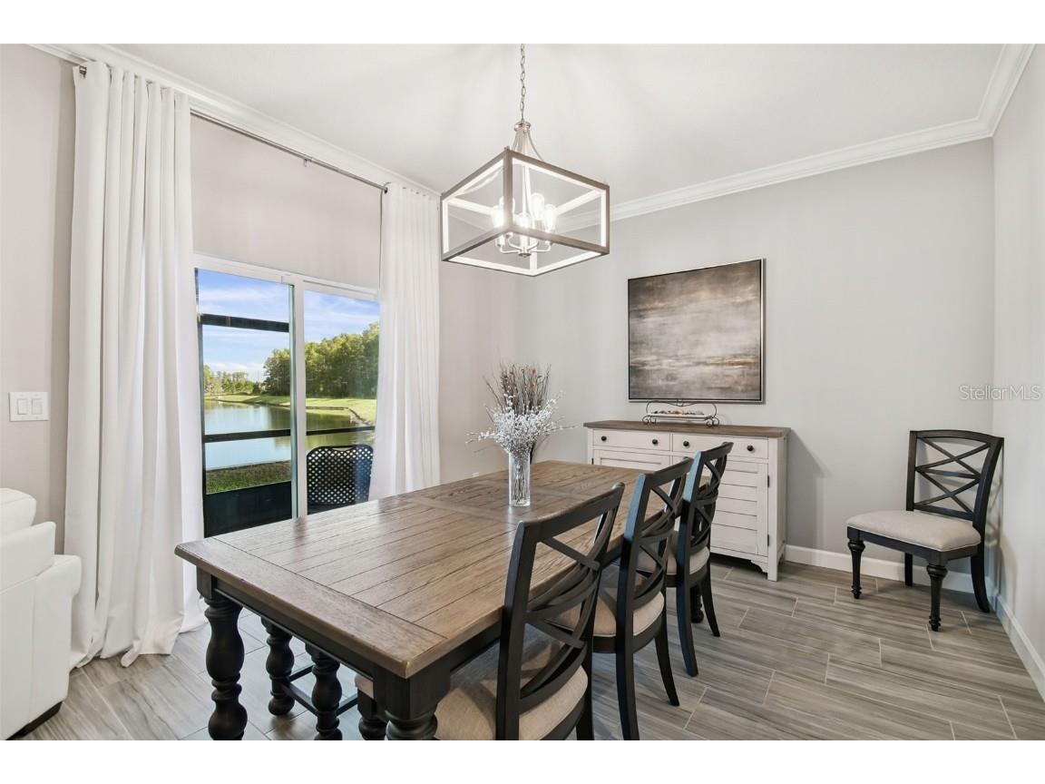 2213 Cerulean Sky Drive Lutz FL 33558 TB8440576 image23