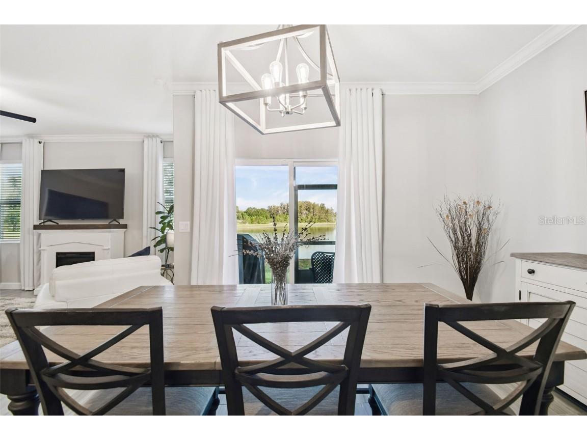 2213 Cerulean Sky Drive Lutz FL 33558 TB8440576 image24