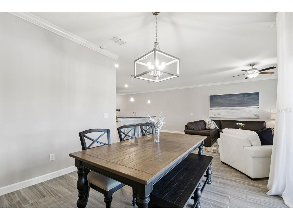 2213 Cerulean Sky Drive Lutz FL 33558 TB8440576 image26