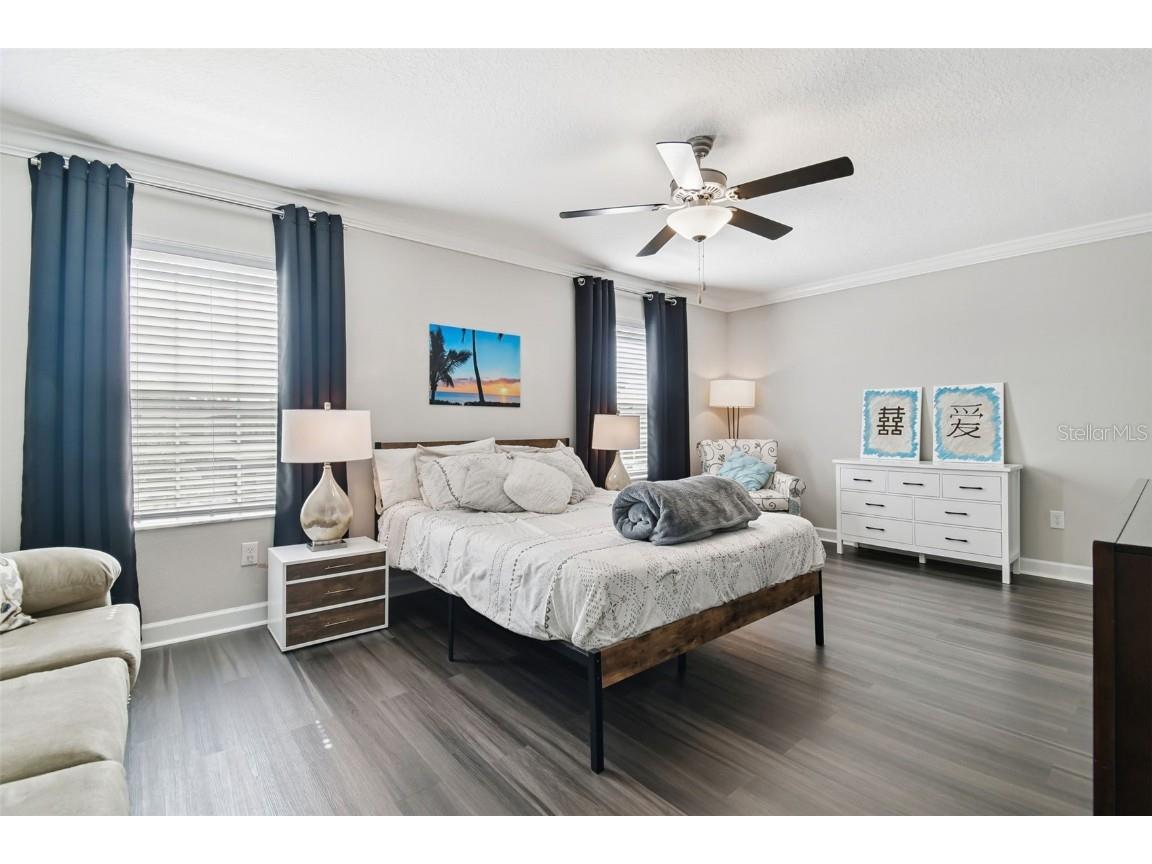 2213 Cerulean Sky Drive Lutz FL 33558 TB8440576 image33