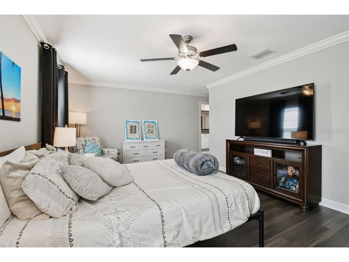 2213 Cerulean Sky Drive Lutz FL 33558 TB8440576 image34