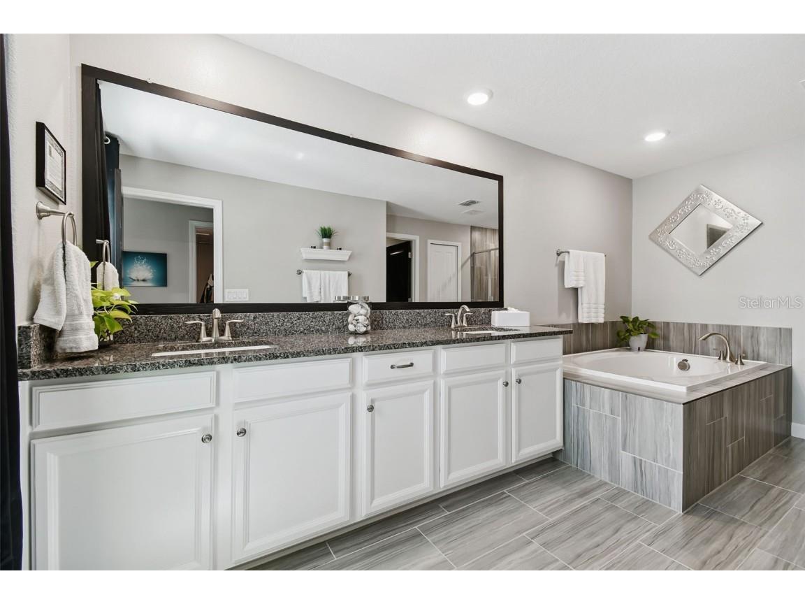 2213 Cerulean Sky Drive Lutz FL 33558 TB8440576 image37