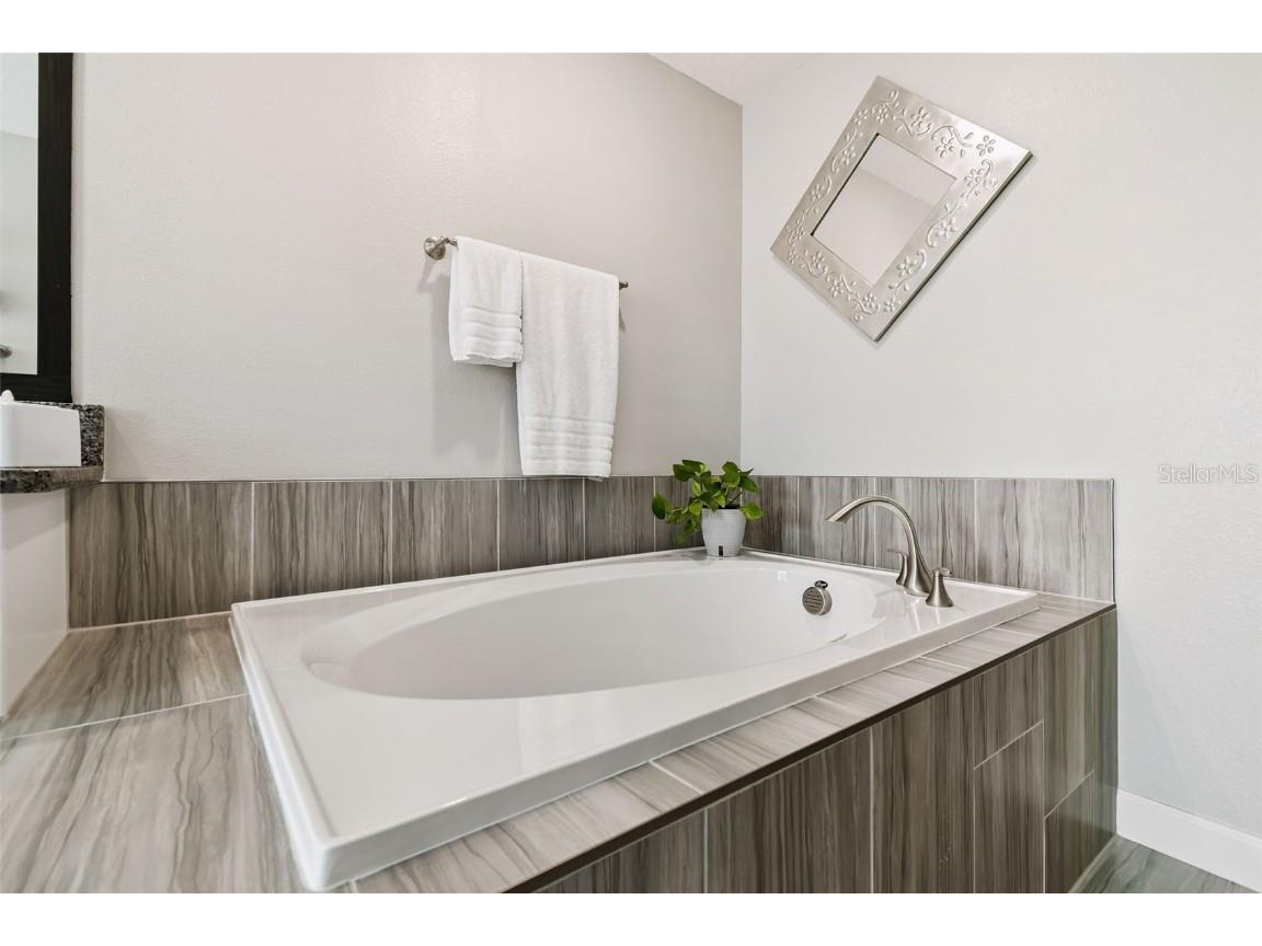 2213 Cerulean Sky Drive Lutz FL 33558 TB8440576 image39