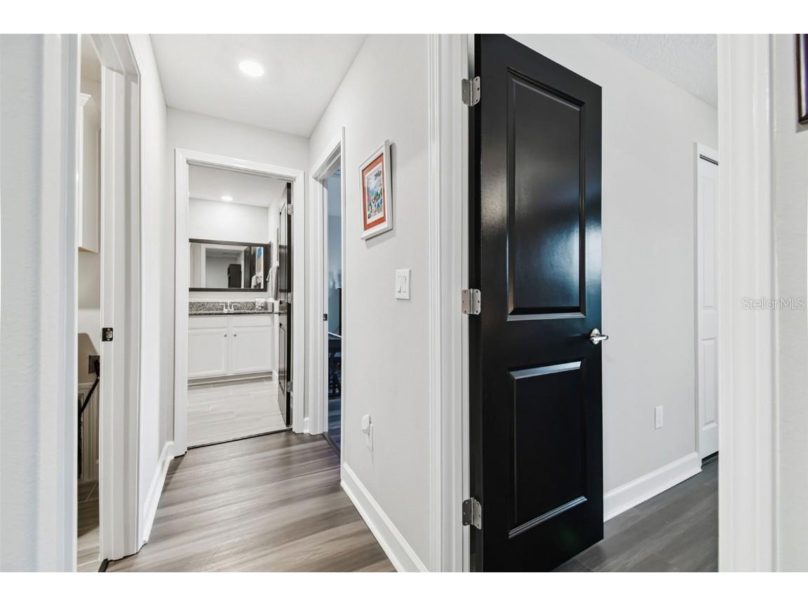 2213 Cerulean Sky Drive Lutz FL 33558 TB8440576 image42