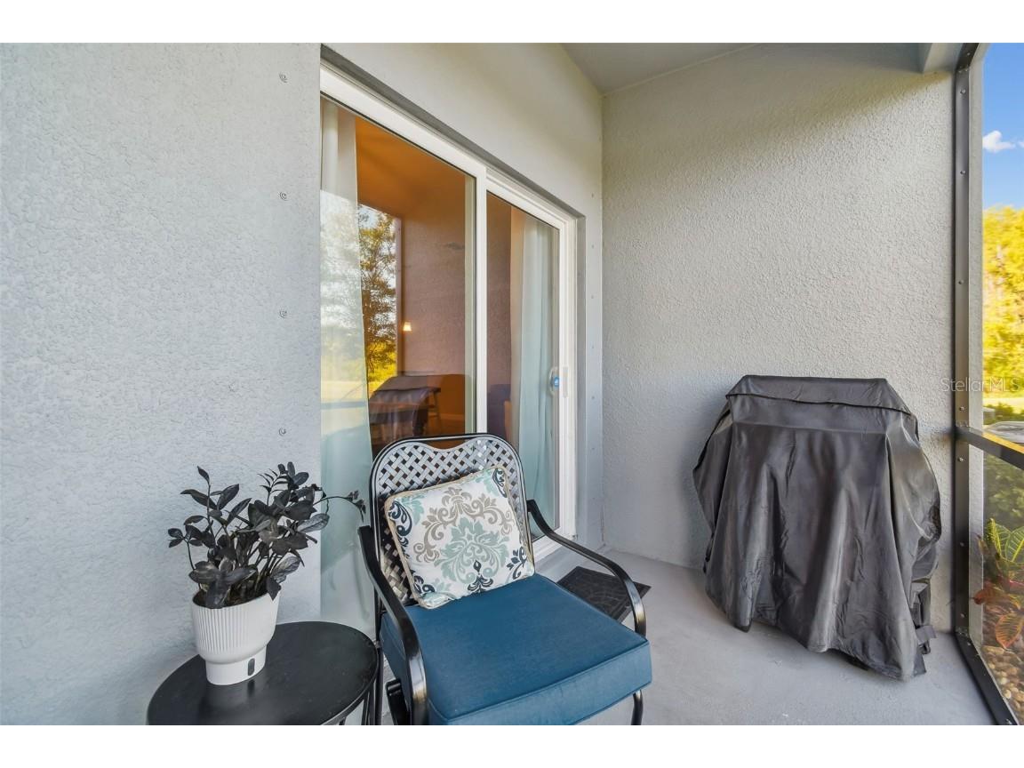 2213 Cerulean Sky Drive Lutz FL 33558 TB8440576 image51