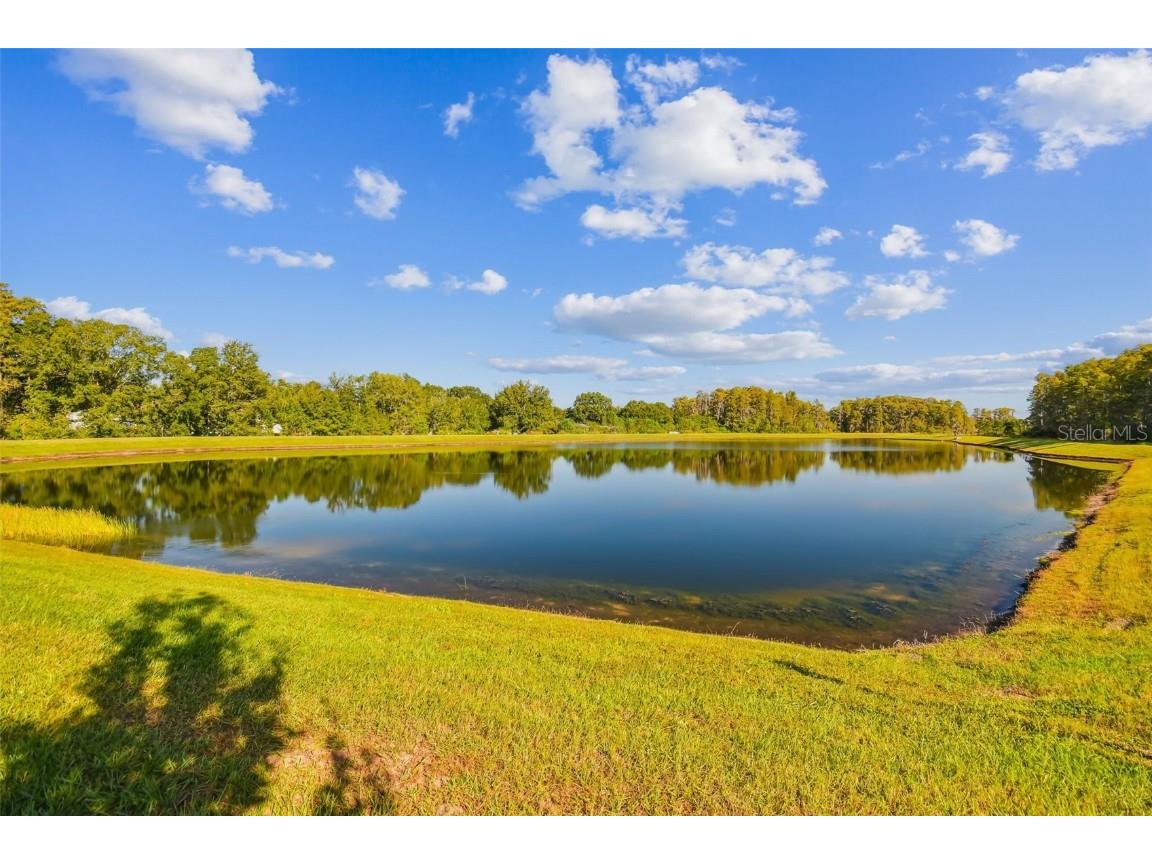 2213 Cerulean Sky Drive Lutz FL 33558 TB8440576 image52