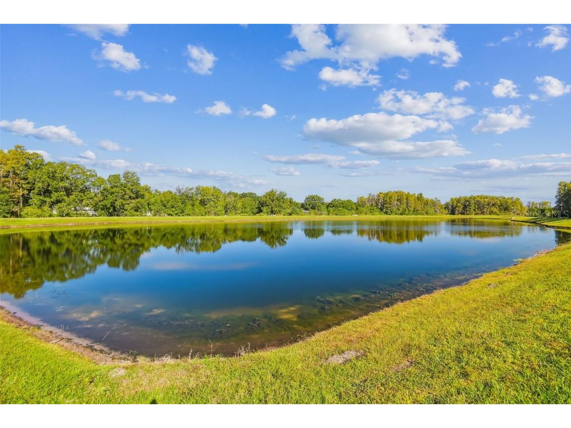 2213 Cerulean Sky Drive Lutz FL 33558 TB8440576 image54