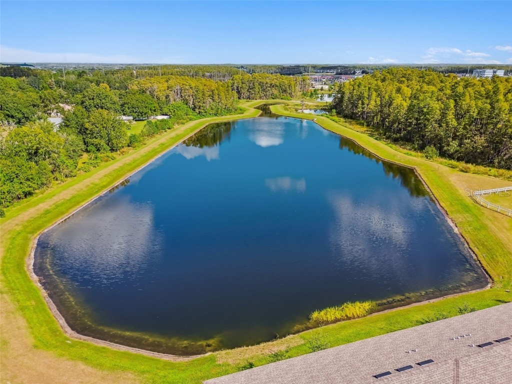 2213 Cerulean Sky Drive Lutz FL 33558 TB8440576 image58