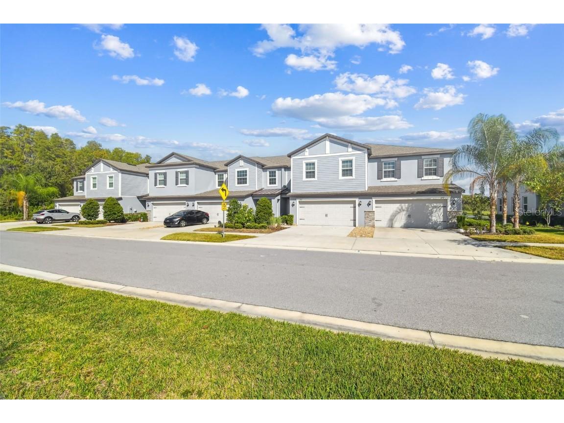 2213 Cerulean Sky Drive Lutz FL 33558 TB8440576 image6