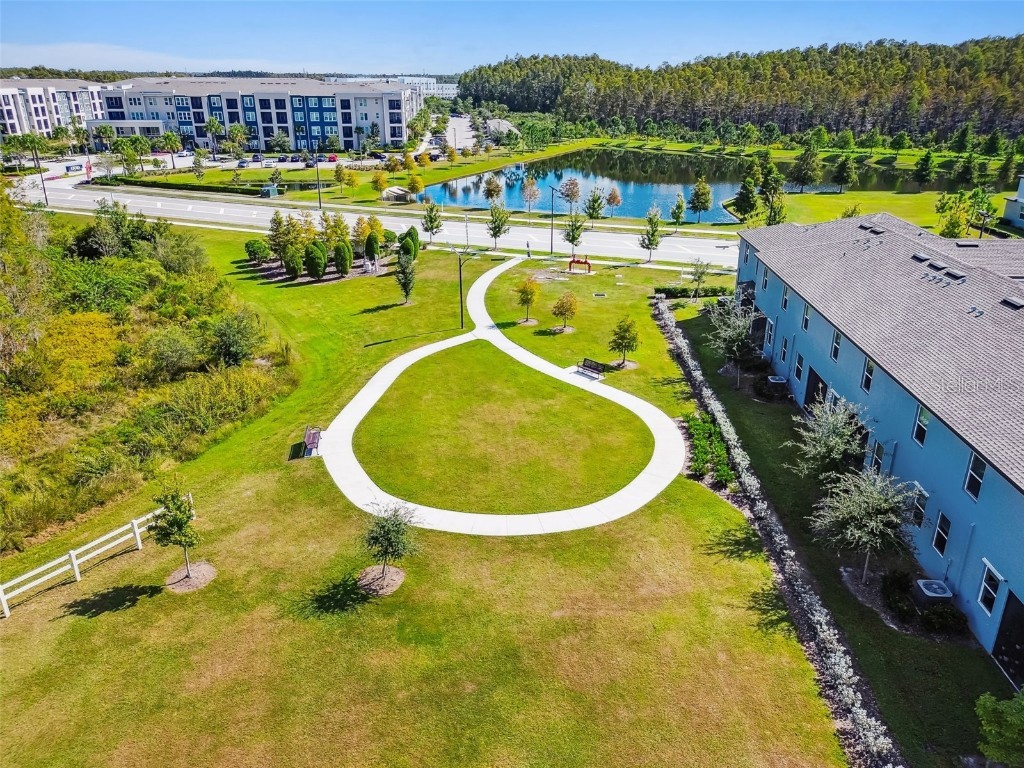 2213 Cerulean Sky Drive Lutz FL 33558 TB8440576 image60