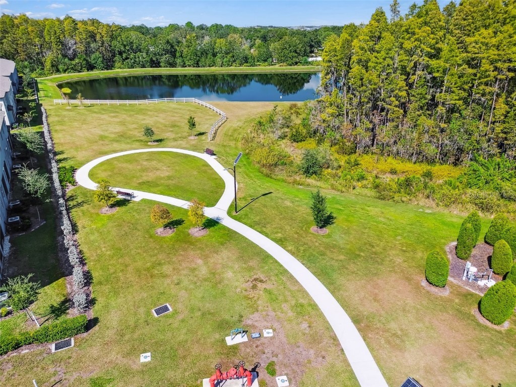 2213 Cerulean Sky Drive Lutz FL 33558 TB8440576 image61