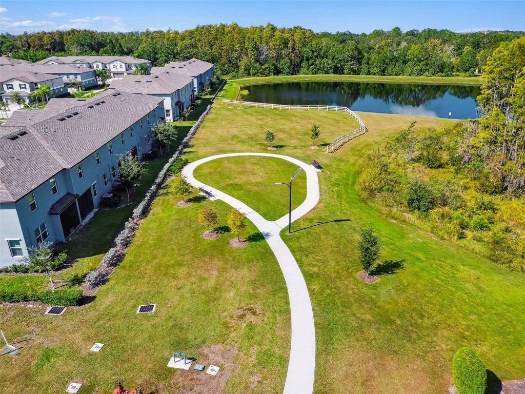 2213 Cerulean Sky Drive Lutz FL 33558 TB8440576 image62