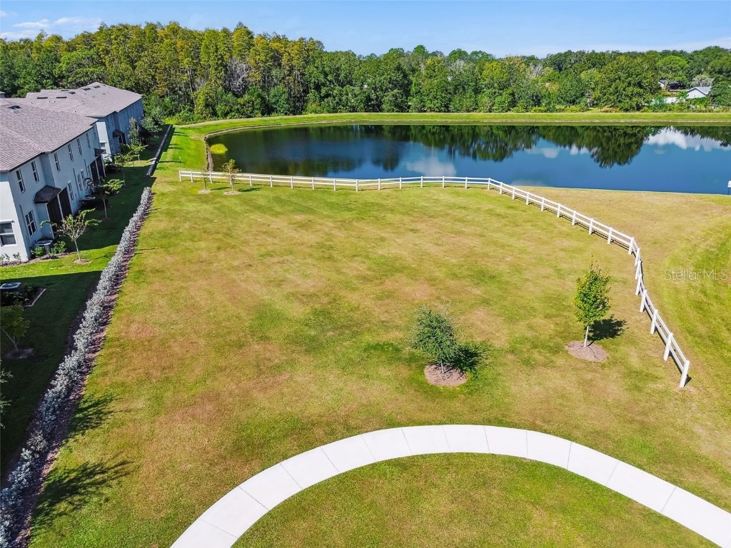 2213 Cerulean Sky Drive Lutz FL 33558 TB8440576 image63