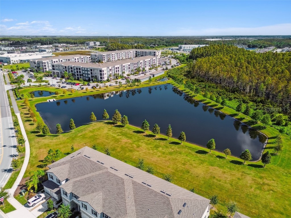 2213 Cerulean Sky Drive Lutz FL 33558 TB8440576 image64