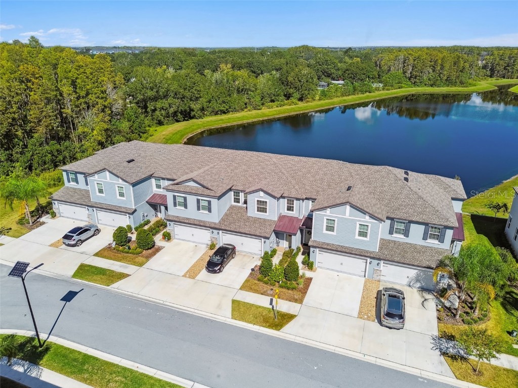 2213 Cerulean Sky Drive Lutz FL 33558 TB8440576 image66