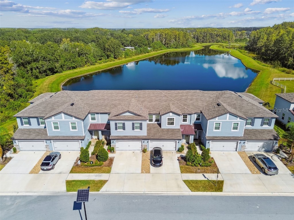 2213 Cerulean Sky Drive Lutz FL 33558 TB8440576 image67