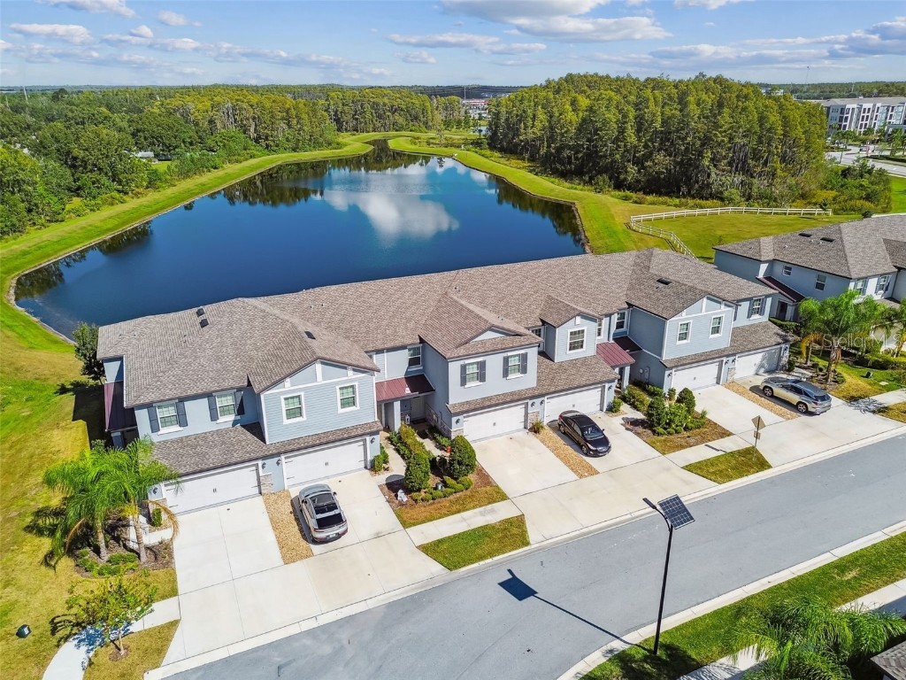 2213 Cerulean Sky Drive Lutz FL 33558 TB8440576 image68