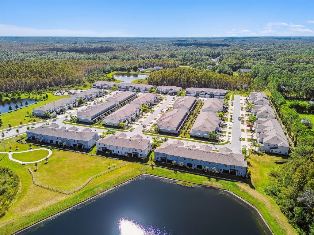 2213 Cerulean Sky Drive Lutz FL 33558 TB8440576 image71