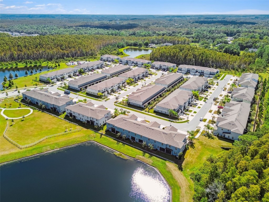 2213 Cerulean Sky Drive Lutz FL 33558 TB8440576 image72