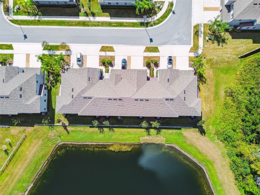 2213 Cerulean Sky Drive Lutz FL 33558 TB8440576 image73